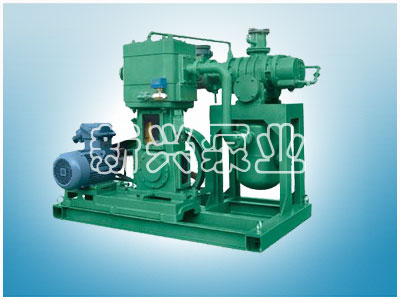 JZJW型羅茨-立式無油往復(fù)泵機(jī)組